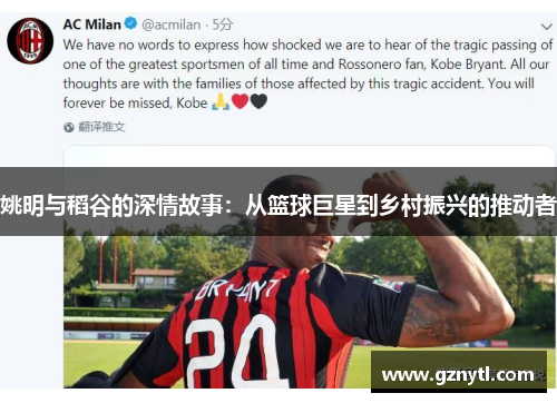 姚明与稻谷的深情故事：从篮球巨星到乡村振兴的推动者