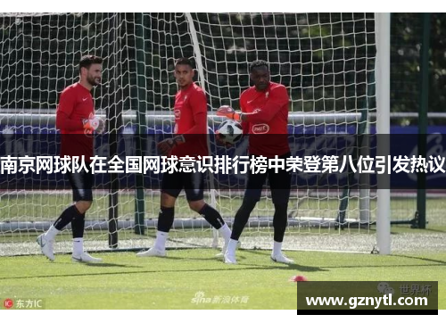 南京网球队在全国网球意识排行榜中荣登第八位引发热议