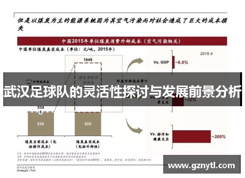 武汉足球队的灵活性探讨与发展前景分析