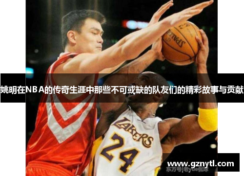 姚明在NBA的传奇生涯中那些不可或缺的队友们的精彩故事与贡献