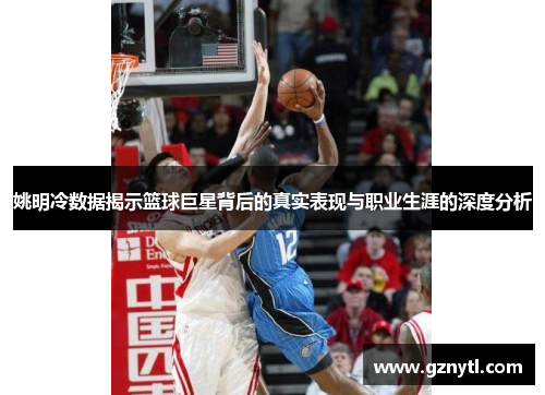 姚明冷数据揭示篮球巨星背后的真实表现与职业生涯的深度分析