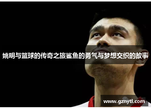 姚明与篮球的传奇之旅鲨鱼的勇气与梦想交织的故事