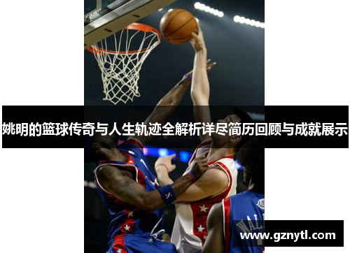 姚明的篮球传奇与人生轨迹全解析详尽简历回顾与成就展示
