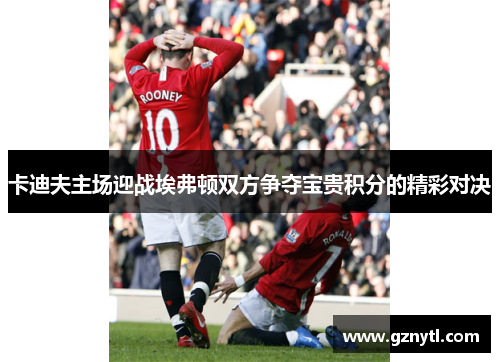 卡迪夫主场迎战埃弗顿双方争夺宝贵积分的精彩对决